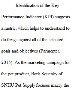 5-2 Final Project Milestone Three: Key Performance Indicators